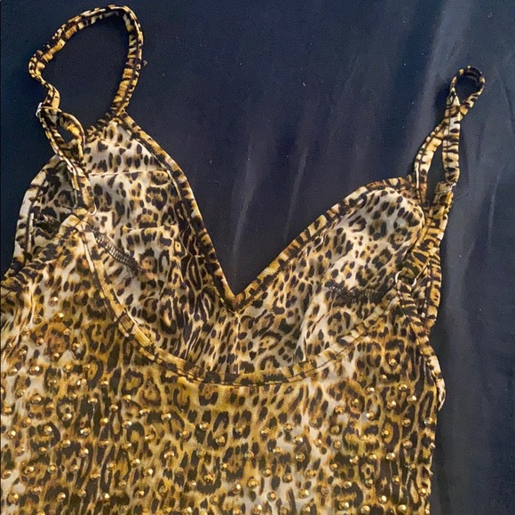 Small tank leopard - Picture 4 of 6